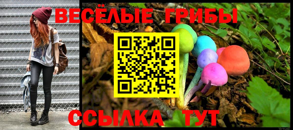 Галлюциногенные грибы Psilocybine cubensis Сухой Лог